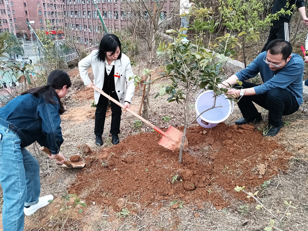 機械工程系黨總支、教學教輔部門黨支部聯(lián)合開展“植新綠 樹新風”主題黨日活動